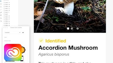 Live UI/UX Design with Aly Weir - 3 of 3 | Adobe Creative Cloud