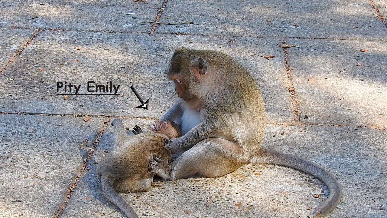 Really sad! baby Emily crying so cared asking mom Emila stop beating- baby Emily crying loudly