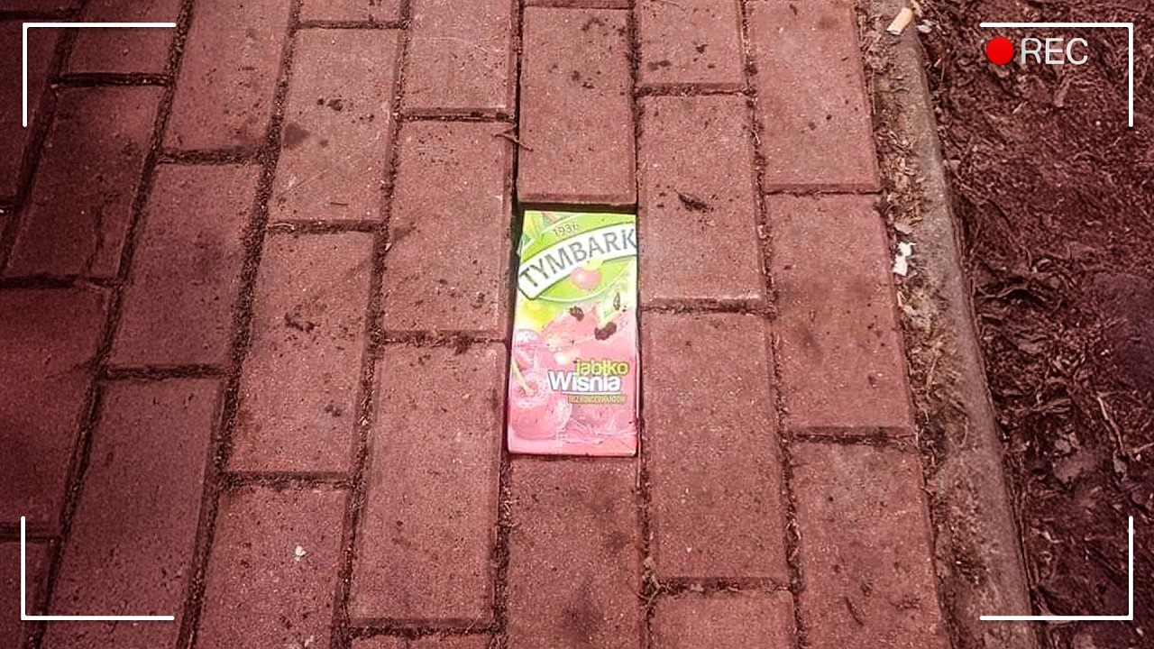 najdziwniejsze zdjęcia w internecie