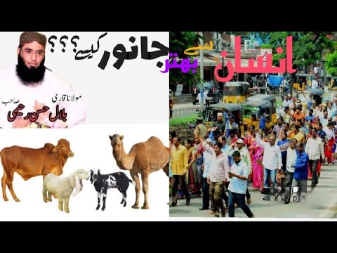 ผลสลากกินแบ่งรัฐบาล วันที่ 1 พย. 2567