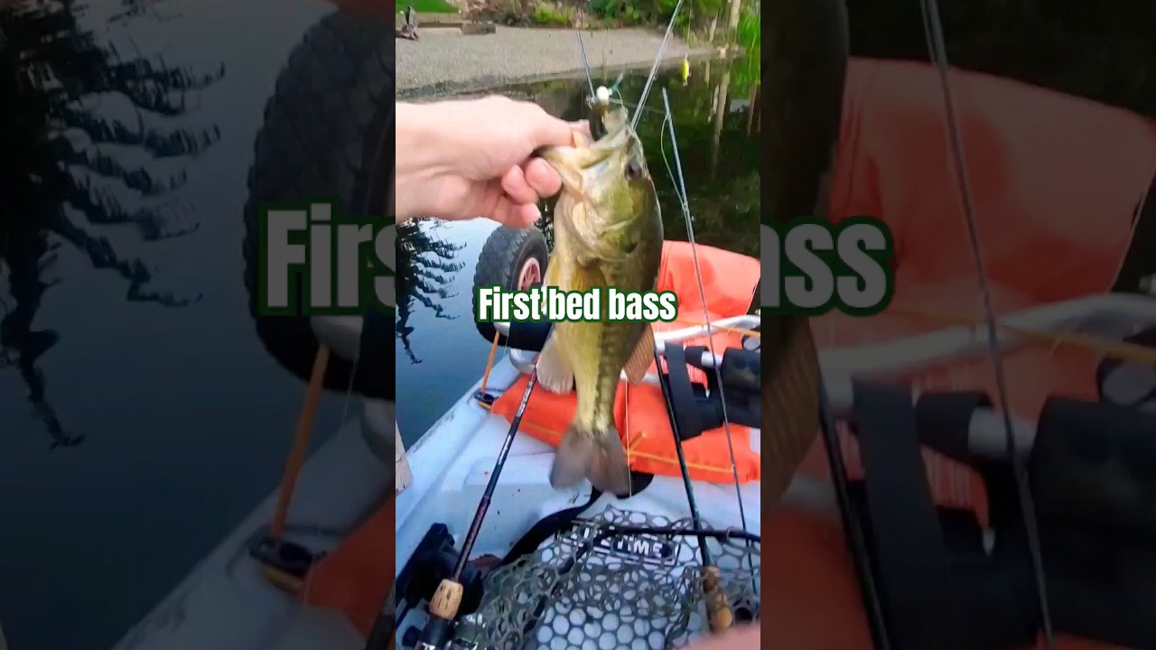 First time bed fishing! 