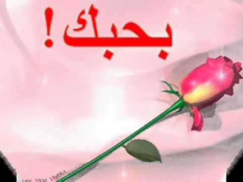 رامى جمال ماليش دعوة بحد