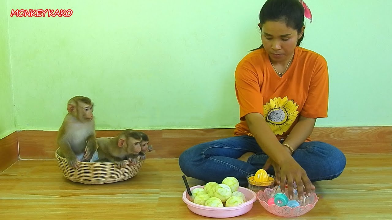 Brother Kako With Baby Luna And Tiny Nina Sitting In Basket Wait Drink Fresh Orange Juice