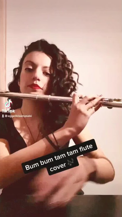 Download lagu Bum bum tam tam flute cover
