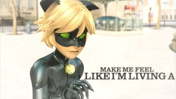 Miraculous Ladybug // Teenage Dream [Mep Part 13]