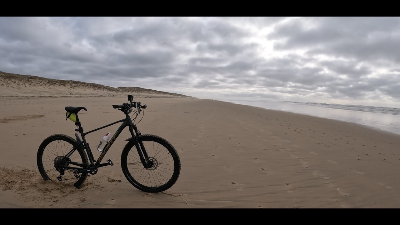 balade sur la Côte Sauvage, du galon d'Or au phare de la Coubre. 17