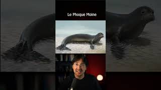 Les Animaux Eteints peut-être encore VIVANTS  #insolite