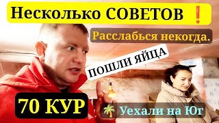 КУРЫ расслаблятся не дают. Переезд на Юг. Саликовы.