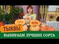 Тыквы выбираем лучшие сорта. Самые сладкие, самые урожайные, самые устойчивые