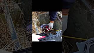 don't miss the end 🫡🫡he save the cat 🐱 #cats #catslover #catsoftiktok #catsvideo
