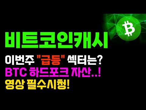   비트코인캐시 긴급 이번주는 BTC 하드포크 자산만 보시면 됩니다 코인시황