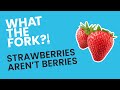 Strawberries Are Not Berries! WTF?!