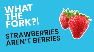 Strawberries Are Not Berries! WTF?!