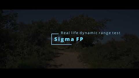 Sigma FP real life Dynamic Range Test, Cinema DNG 12bit, shot under harsh light conditions.