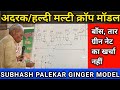 SUBHASH PALEKAR'S GINGER TURMERIC MODEL | अदरक हल्दी मल्टी क्रॉप मॉडल l