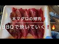 本マグロの頬肉をバーベキューテラス海床で焼いていく‼️