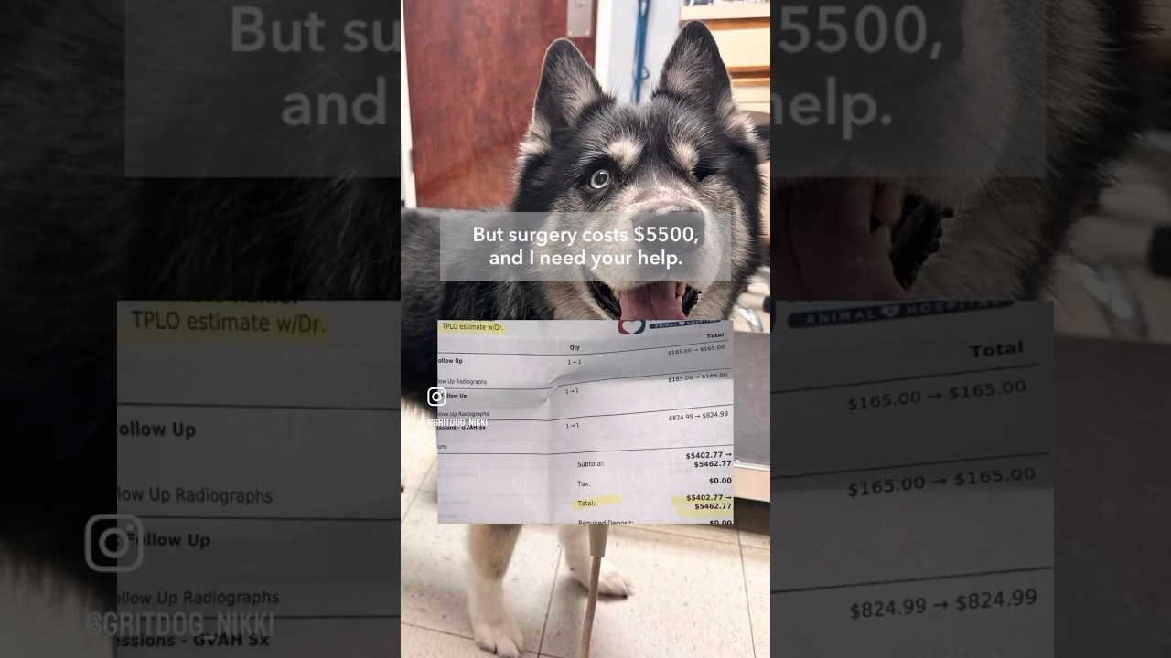 Help Vici Get Surgery He Desperately Needs - GoFundMe in bio & commented