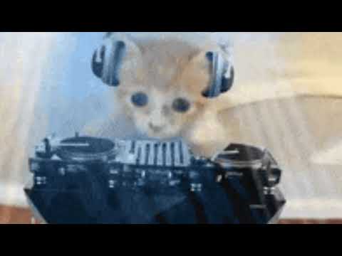 معلايه بيبي شارك Baby Shark Remix