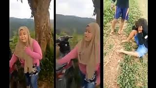 viral...!!! dua sejoli tertangkap warga sedang wik wik