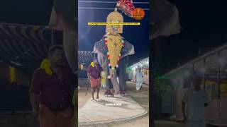 ചേരാനല്ലൂരമ്മയുടെ വിളക്ക് എഴുന്നള്ളിപ്പ് 🕉️Plathottam Beena,Cheranallur Sreekarthyayani Ulsavam