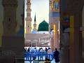 Islamic status video ❣️❣️❣️❣️🥀🥀🥀🥀#wow #night #messi #qatar #online #viralreels #tips #domba #facts