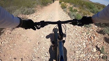 Lazy Cow El Paso Texas