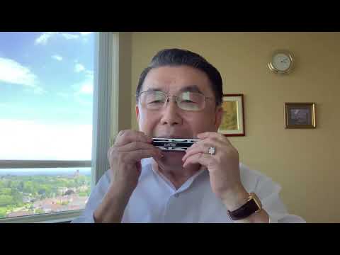 《我们的生活充满阳光》Tremolo Harmonica Solo口琴独奏