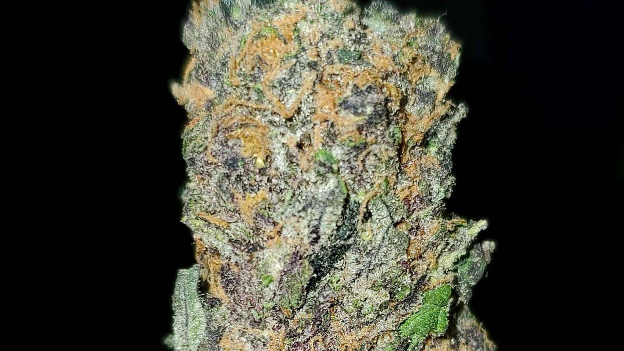 JELLY BREATH STRAIN WAKE AND BAKE STYLE