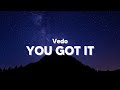 Vedo You Got It Clean Lyrics 