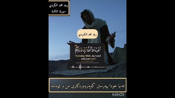 رعد الكردي سورة المائدة