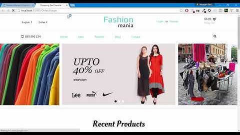 How To Make An E-Commerce Website In Asp.Net  Part 1   Urdu Hindi Language