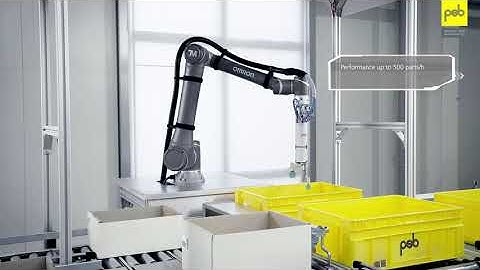 psb autopick – fully automatic order picking system