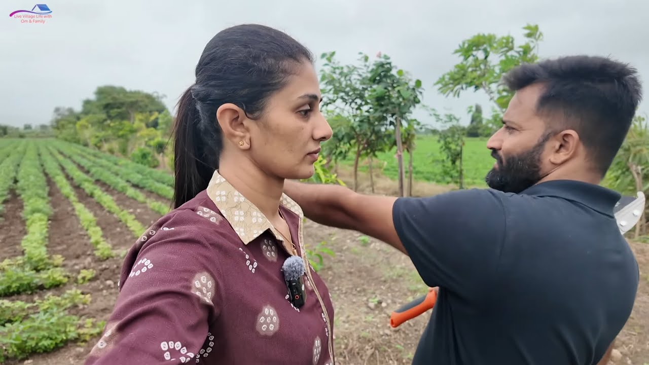 Ghar pe vapas aa ke trees ka kaam chalu 