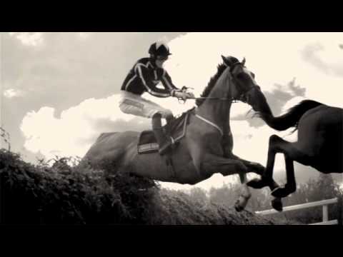 William Hill Advert William Hill Advert