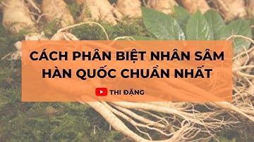 Cách Phân Biệt Các Loại Nhân Sâm Hàn Quốc Chuẩn Nhất - Thi Đặng - ANaNa Nhân Sâm Korea