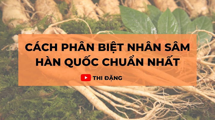 Nhân sâm trung quốc giá bao nhiêu năm 2024