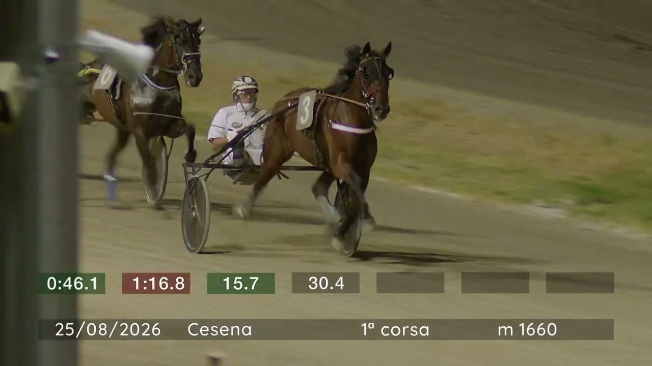 2026 08 25 | Corsa 1 | Metri 1660 | Premio Talk 24