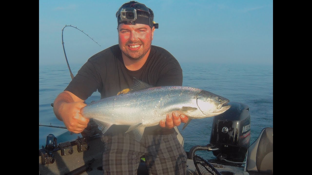 Wellington Salmon Fishing YouTube