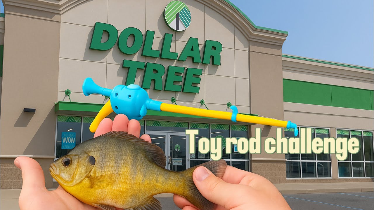 Dollar tree toy rod fishing challenge.