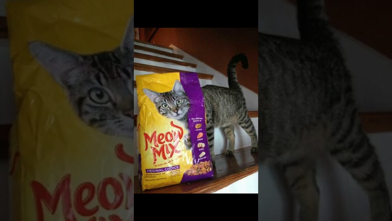 Weird Animal Photos That “Cannot Be Explained” 