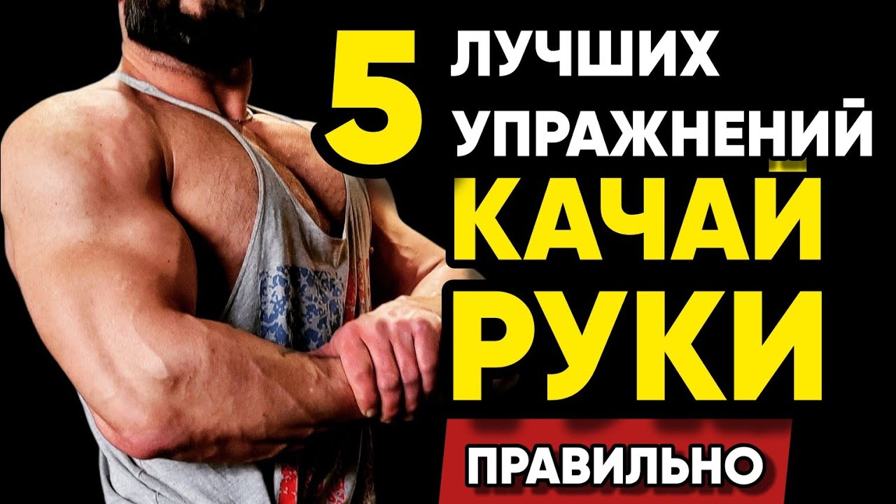 ����� Golden Dragon �������: ����.