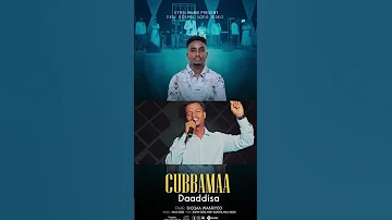CUBBAMAA DAADDISA Faar Diqqaa Waariyo 
