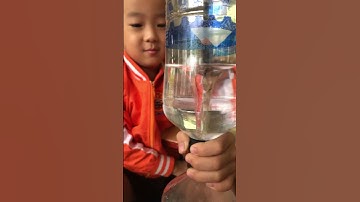 Bình An làm lốc xoáy trong chai nước - Trò chơi cho trẻ em
