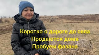 коротко о дороге, домах и фазане🦆