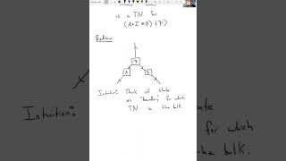 HEP-TN/GQFI Virtual Seminar: Jon Sorce "Status Update on Tensor Networks in Quantum Gravity"