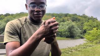 Beautiful Dekay's Brownsnake