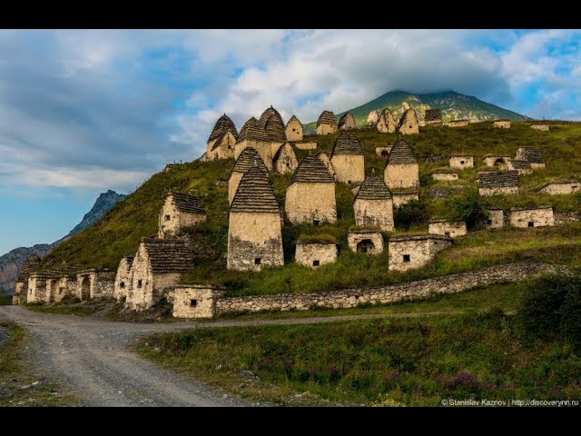 Baby Goat - YouTube Auto PHP Script