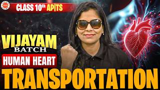 Transportation Class 10 Biology | Human Heart ❤️ Structure & Function | Sunaina Mam