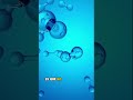 Hidrógeno Verde: La Energía Limpia del Futuro #shorts