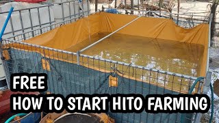 Hito Farming Tutorial Free | Episode 1